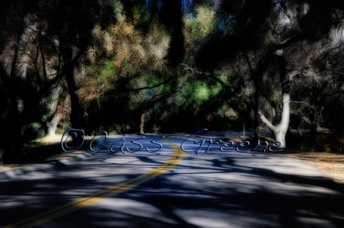 2009-02-03 09-46-23 AMA _DSC3835 copy