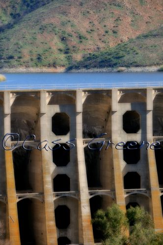 2009-02-03 10-21-56 AM2 _D copy