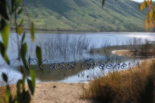 2009-02-03 09-27-54 AM2 _DSC3822 copy