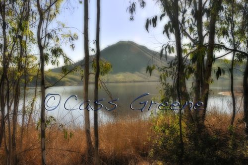 2009-02-03 09-08-58 AM2 _DSC3777 copy