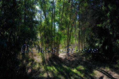 2009-02-03 09-28-58 AM2 _DSC3823 copy