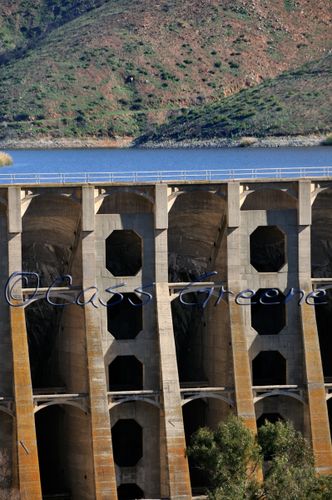 2009-02-03 10-21-56 AM _DSC3946