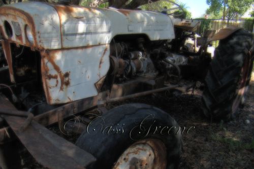 2008-10-18 11-42-21 AM DSC01073