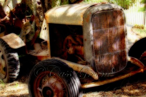 2008-10-18 11-43-24 AM DSC01081