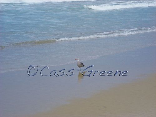 2009-07-21 08-52-18 AM DSC03204