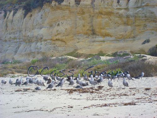 2009-07-21 08-52-52 AM DSC03206