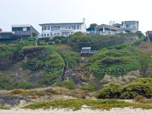 2009-07-21 09-01-16 AM DSC03212