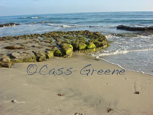 2009-07-14 05-43-11 PM DSC03104