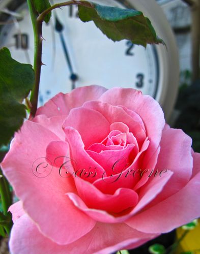 2009-09-30 05.56.44 PM IMG_5486