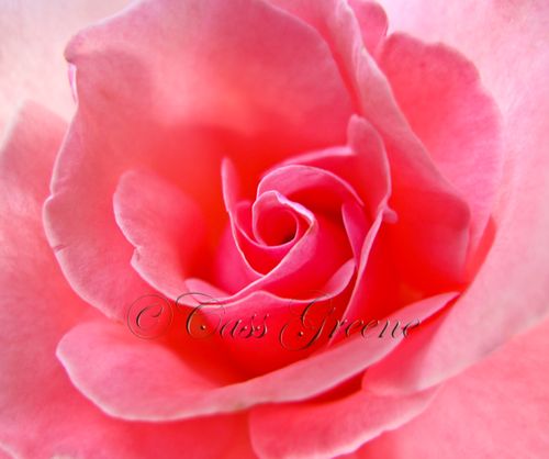 2009-09-30 05.53.21 PM IMG_5456