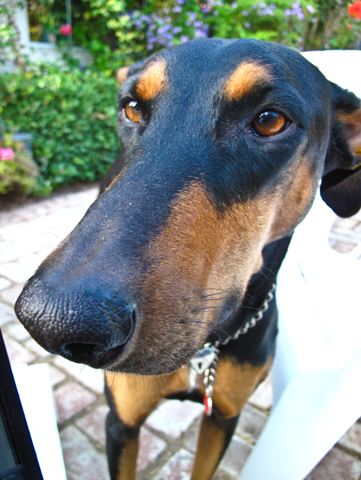 2009-09-28 05.59.03 PM IMG_5274_1