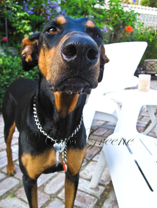 2009-09-28 05.59.27 PM IMG_5277