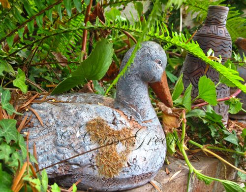 2009-09-30 07.33.25 AM IMG_5419