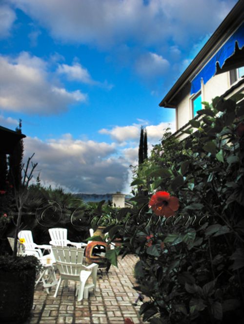 Garden 2009-09-30 07.35.16 AM IMG_5432