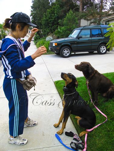 2009-09-30 07.19.39 AM IMG_5381