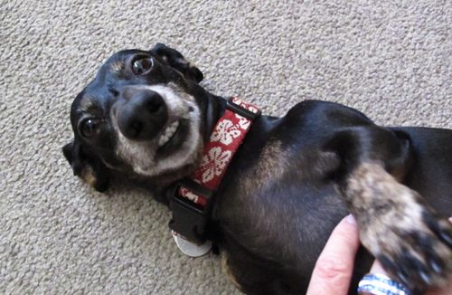 2009-09-23 10.58.55 AM IMG_4554