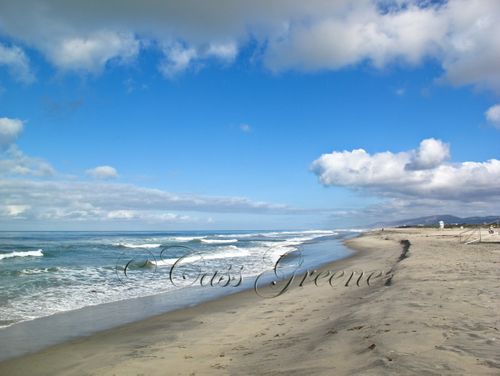 2009-09-15 09.12.56 AM IMG_3885