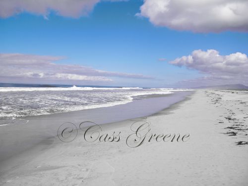 2009-09-15 09.24.18 AM IMG_3923