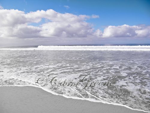 2009-09-15 09.36.27 AM IMG_3946