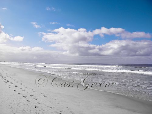 2009-09-15 09.39.19 AM IMG_3952