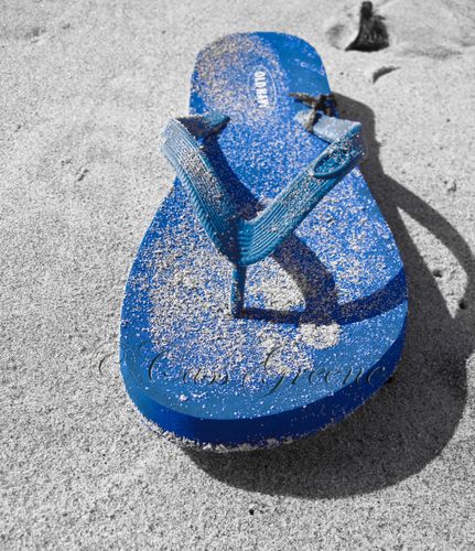 2009-09-15 09.21.59 AM IMG_3916