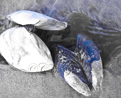 2009-09-15 09.58.37 AM IMG_4024