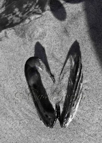 2009-09-15 09.53.24 AM IMG_4007