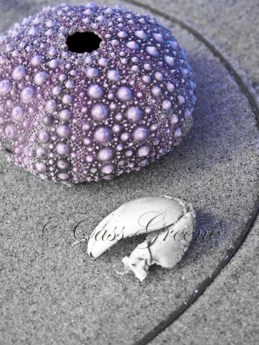 2009-09-15 10.04.19 AM IMG_4045