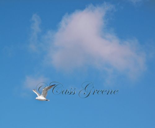 2009-09-15 09.39.04 AM IMG_3951