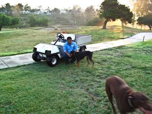 2009-09-02 05-58-14 AM IMG_1729 2009-09-02 05-58-14 AM IMG_1729