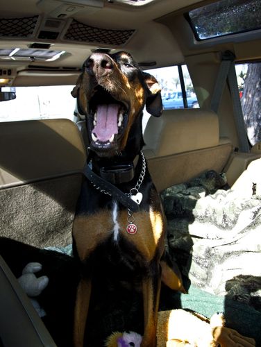 2009-09-07 08-33-51 AM IMG_2612 2009-09-07 08-33-51 AM IMG_2612