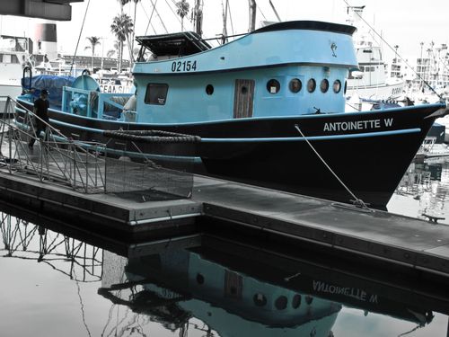 2009-09-07 07-50-00 AM IMG_2465 2009-09-07 07-50-00 AM IMG_2465