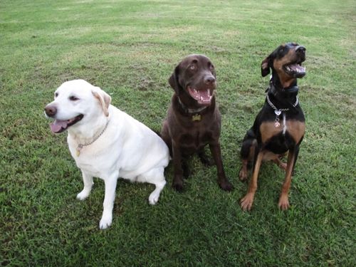 2009-08-27 06-06-04 AM IMG_0715