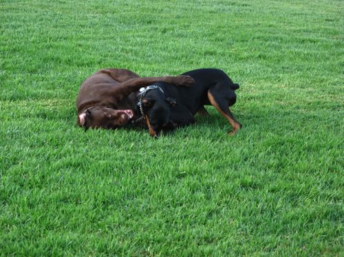 2009-09-02 06-25-49 AM IMG_1745