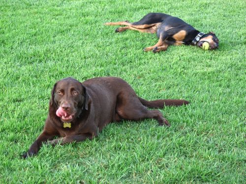 2009-09-02 06-27-25 AM IMG_1750