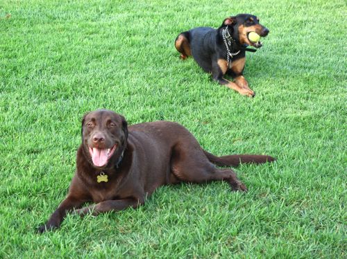 2009-09-02 06-27-43 AM IMG_1754