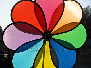 2009-10-31 04.14.45 PM IMG_1335