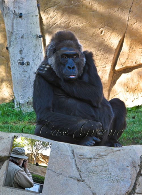 Gorella 2009-10-31 09.27.33 AM IMG_0491