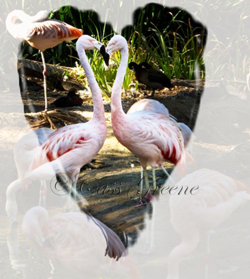 Heart 2009-10-31 02.32.10 PM IMG_1174