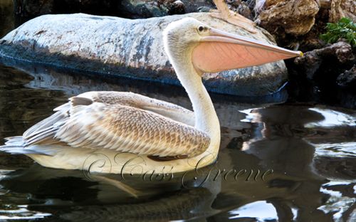 2009-10-31 09.13.11 AM IMG_0423