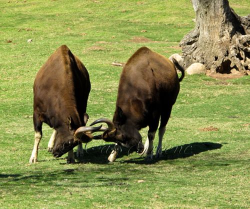 2009-10-31 11.31.05 AM IMG_0808