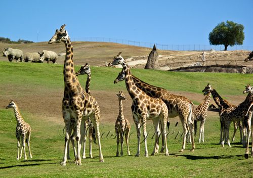 2009-10-31 12.24.10 PM IMG_1009