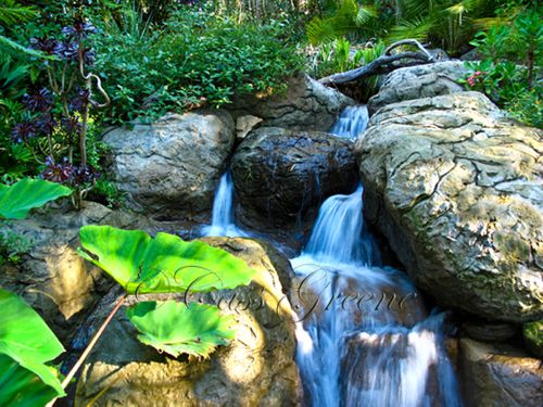 Waterfall 2009-10-31 08.56.54 AM IMG_0351