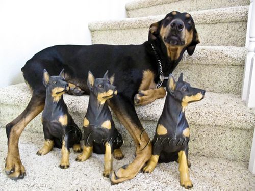 2009-10-30 01.27.27 PM IMG_0246