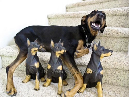 2009-10-30 01.27.37 PM IMG_0250