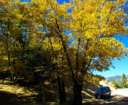 2009-10-23 01.52.47 PM IMG_9149