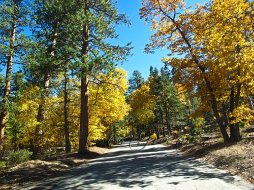 2009-10-23 02.09.56 PM IMG_9166