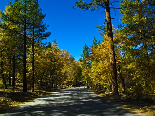 2009-10-23 02.25.30 PM IMG_9216