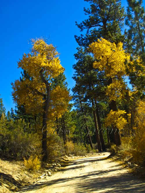 2009-10-23 02.43.17 PM IMG_9240