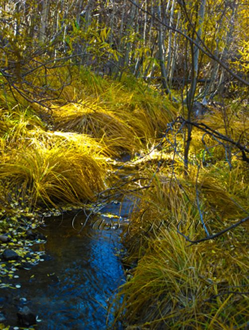 2009-10-23 03.17.28 PM IMG_9316